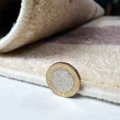 Xrugs Modern Floral Rug Ivory Grey Cream Pink Low Pile Woven Carpet Bedroom Floor Mat