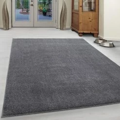 Xrugs Grey Rug Modern Plain Bedroom Floor Carpet Small Extra Large Woven Runner Mats