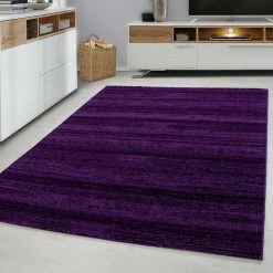 Xrugs Rug For Living Room New Modern Purple Carpet Small X Large Living Room Hall Mats