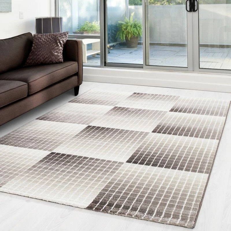 Xrugs Brown And Beige Rug Modern Geometric Check Pattern Carpet Living Room Runner Mat 1 Xrugs Brown And Beige Rug Modern Geometric Check Pattern Carpet Living Room Runner Mat