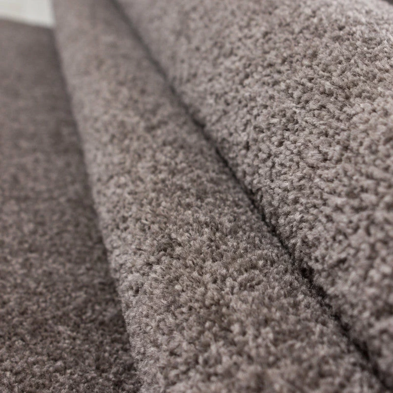 Xrugs Brown Rug For Living Room Plain Solid Monochrome Soft Carpet Large XL Small Floor Area Mats 3 Xrugs Brown Rug For Living Room Plain Solid Monochrome Soft Carpet Large XL Small Floor Area Mats