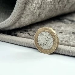 Xrugs Abstract Grey Rug Marble Striped Pattern Large Small Living Room Bedroom Runner Area Mat